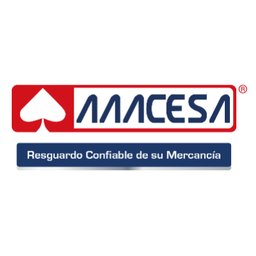 AAACESA Analista de Seguridad Patrimonial