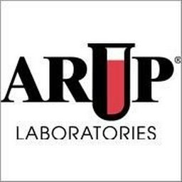 ARUP IT Data Solutions Analyst II (Microsoft D365 Developer)