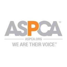 ASPCA Vice President, Cruelty Recovery Center