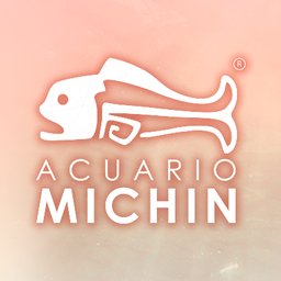 Acuario Michin Fotógrafo vendedor (fines de semana)