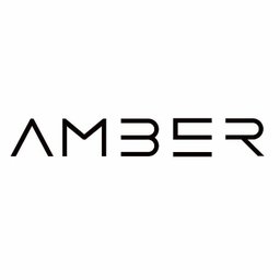 Amber Studio Financial Analyst