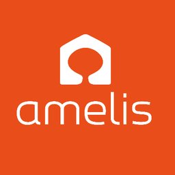 Amelis Services 