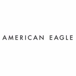 American Eagle Outfitters Aerie - Selling Team Leader (Assistant Manager)