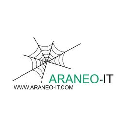 Araneo-IT B.V. Testanalist