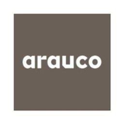 Arauco Ejecutivo/a de Ventas B2B