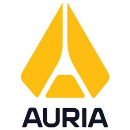 Auria Software Tools Analyst