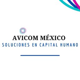 Avicom México Arquitecto Proyectista exp. sector industrial