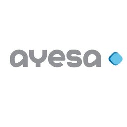 Ayesa Graduate Civil Engineer