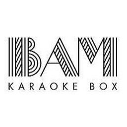 BAM Karaoke Box 