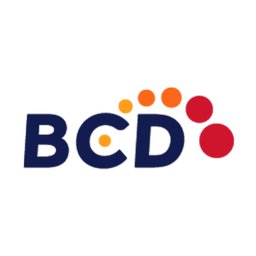 BCD Travel Consultant