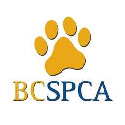 BCSPCA Receptionist - Burnaby