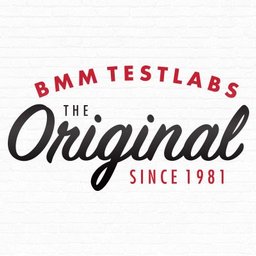 BMM Testlabs Computer Scientist