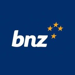 BNZ Senior Technical Specialist