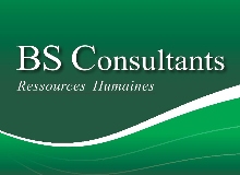 BS Consultants Chargé de projet Eolien/Photovoltaïque (H/F)