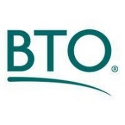 BTO spa Business Analyst - Insurance Sector