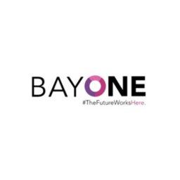 BayOne Materials Technical Program Manager