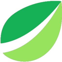 Bitfinex Senior Backend Developer - NodeJS (100% Remote CR)