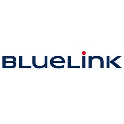 BlueLink International CZ Airline Customer Success Advisor with Czech