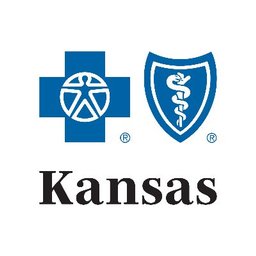 Blue Cross and Blue Shield of Kansas Director Medicare Programs