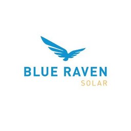 Blue Raven Solar Solar Surveyor