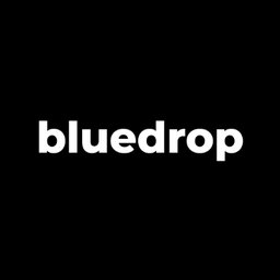 Bluedrop GmbH Performance Marketing Manager (m/w/d)