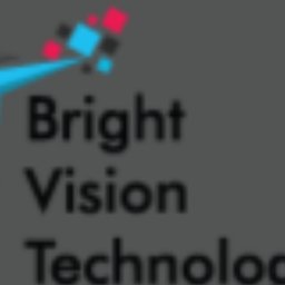 Bright Vision Technologies C++ Developer