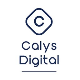 CALYS DIGITAL Chargé d'affaires internationales - industrie h/f