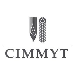 CIMMYT Consultancy Research Assistant in Agribusiness, Responsible Sourcing & SASB