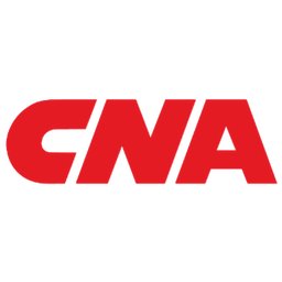 CNA Insurance Supplier Consultant