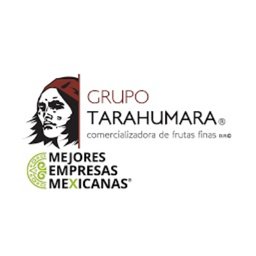 COMERCIALIZADORA DE FRUTAS FINAS TARAHUMARA Subjefe de Ventas - Central de abastos