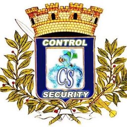 CONTROL SECURITY Ejecutivas de Ventas