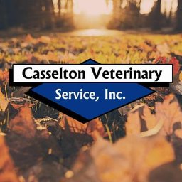 Casselton Veterinary Service, Inc. Client Service Representative - Evening and Weekend