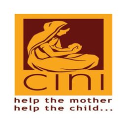 Child In Need Institute Community Facilitator