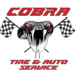 Cobra Fleet Automotive Painter