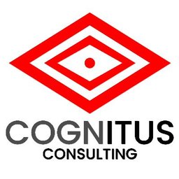 Cognitus Consulting SAP Ariba S2C (Source to Contract)