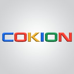 Cokion Private Limited 