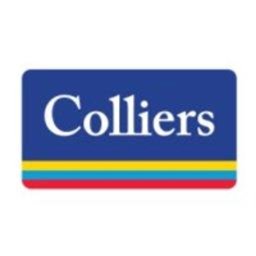 Colliers International EMEA Junior Portfolio Analyst