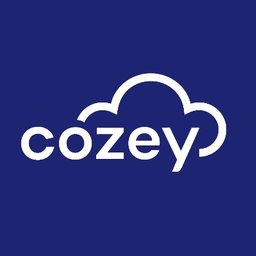 Cozey Director, Furniture Design