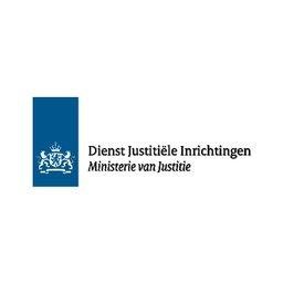 DJI Plaatsvervangend vestigingsdirecteur