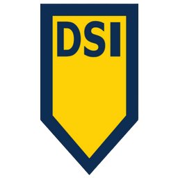 DSI Security Services 