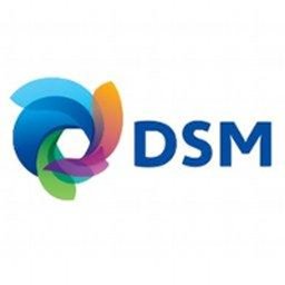 DSM Strategic Development Director