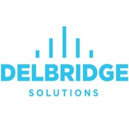 Delbridge Solutions Inc. Corporate Performance Consultant