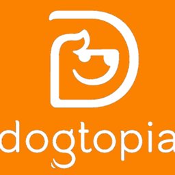 Dogtopia of Dublin Dog Daycare Playroom Coach - MUST LOVE DOGS!