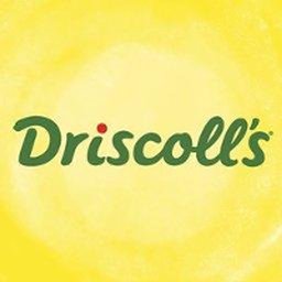 Driscoll's HRBP MOR