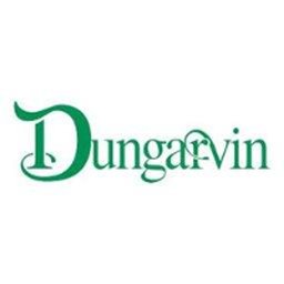 Dungarvin Program Director