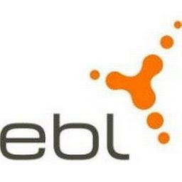 EBL (Genossenschaft Elektra Baselland) Asset Service Manager (m/w/d)