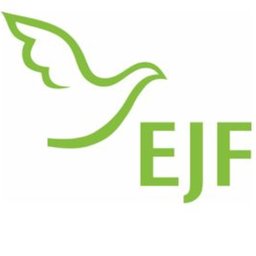 EJF gemeinnützige AG Hauswirtschaftskraft (m/w/d) in Pasewalk