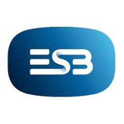 ESB Wind Acquisitions & Life Extension Project Manager