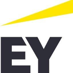 EY External Audit Manager - Cairo