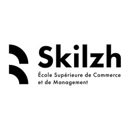 Ecole Skilzh Formateur en Bachelor Chargé d'Affaire en Gestion et Développement d'Entreprise